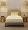 Yellow Floral 200 TC Cotton Single Bedsheet with 1 Pillow Cover