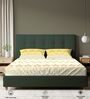 Yellow Floral 200 TC Cotton Single Bedsheet with 1 Pillow Cover