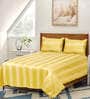 Yellow Striped 300 TC Cotton Queen Bedsheet with 2 Pillow Covers