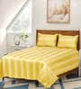 Yellow Striped 300 TC Cotton Queen Bedsheet with 2 Pillow Covers