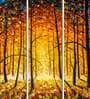 Yellow Forest Yellow Canvas Framed Landscape Art Panel Set of 5