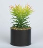 Yellow Green Polyester Elegant Artificial Succulent With Metal Pot