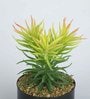 Yellow Green Polyester Elegant Artificial Succulent With Metal Pot