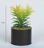 Yellow Green Polyester Elegant Artificial Succulent With Metal Pot
