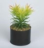 Yellow Green Polyester Elegant Artificial Succulent With Metal Pot