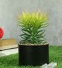 Yellow Green Polyester Elegant Artificial Succulent With Metal Pot