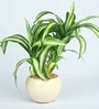 Yellow Green Pvc Refreshing Artificial Bonsai With White Ceramic Pot