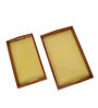 Stunning Yellow Handcrafted  Wood & PVC (Set of 2) Serving Trays