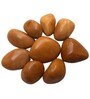 Yellow Jasper 5 Kg Decorative Natural Pebbles