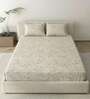 Yellow Metro 186 TC Cotton Double Bedsheet With 2 Pillow Covers