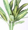 Yellow Polyester Artificial Draceana Plant Without Pot