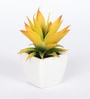 Yellow Polyester Artificial Succulent Bonsai with Ceramic Pot
