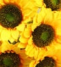 Yellow Polyester Fabric Decorative Artificial Sunflower Bunch