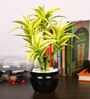 Yellow Artificial Dracaena Bonsai Plant with White Ceramic Pot