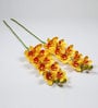 Yellow Polyurethane Beautiful Artificial Cymbidium Orchid Flowers Set of 2