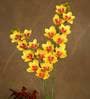 Yellow Polyurethane Beautiful Artificial Cymbidium Orchid Flowers Set of 2