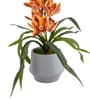 Yellow Pu Foam Velvet Orchid Elegance Pot With Flower
