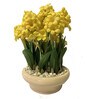 Yellow Pvc Hyacinth Artificial Bonsai With Off- White Ceramic Pot