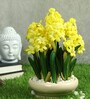 Yellow Pvc Hyacinth Artificial Bonsai With Off- White Ceramic Pot