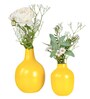 Yellow Set of 2  Metal Vase