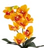 Yellow Silk Fabric Coral Luxe Orchid Arrangement Pot With Flower
