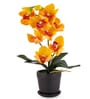 Yellow Silk Fabric Coral Luxe Orchid Arrangement Pot With Flower
