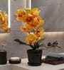Yellow Silk Fabric Coral Luxe Orchid Arrangement Pot With Flower