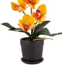 Yellow Silk Fabric Coral Luxe Orchid Arrangement Pot With Flower