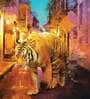 Yellow Tiger Walking Canvas Wall Painting
