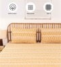 Yellow Traditional 144 TC Cotton 1 Double Bedsheet with 2 Pillow Cover