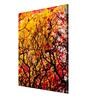Yellow Wooden Framed Printed Beautiful Autumn Wood Canvas Art Print