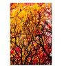Yellow Wooden Framed Printed Beautiful Autumn Wood Canvas Art Print