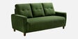 Yolo Fabric Sofa Set in Avocado Green Colour with (3+1+1) Combination