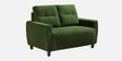 Yolo Fabric 2 Seater Sofa in Avocado Green Colour
