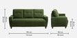 Yolo Fabric Sofa Set in Avocado Green Colour with (3+1+1) Combination