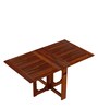 Yolvo 2 Seater Folding Dining Set in Teak Finish