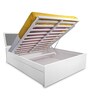 Young America Kids Single Bed with Storage in Multi Colour