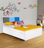 Young America Kids Single Bed with Storage in Multi Colour