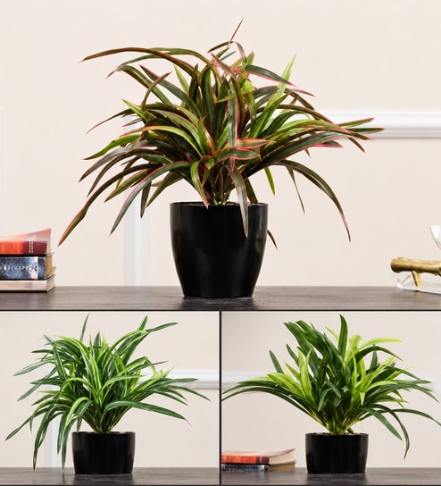 Red Fabric Artificial Yucca Bonsai with Ceramic Base