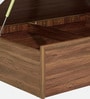 Yuko Upholstered Queen Size Bed in Columbia Walnut Finish with Hydraulic Storage