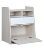 Yun Kids Wall Mounted Study Table In White & Mellow Green Colour