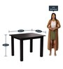 Yung 4 Seater Dining Set In Cappuccino Finish
