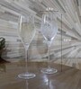 Zwiesel 269ml Champagne Glass