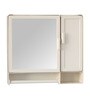 Two Door Plastic Bathroom Cabinet With Mirror