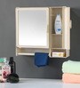 Two Door Plastic Bathroom Cabinet With Mirror