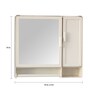 Two Door Plastic Bathroom Cabinet With Mirror
