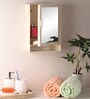 Single Door Plastic Bathroom Cabinet