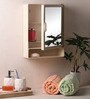 Single Door Plastic Bathroom Cabinet & Shelf With Mirror