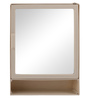 Single Door Plastic Bathroom Cabinet & Shelf With Mirror