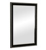 Fibre Framed Black Bathroom Mirror (L:14, W: 0.5, H: 20 Inches)